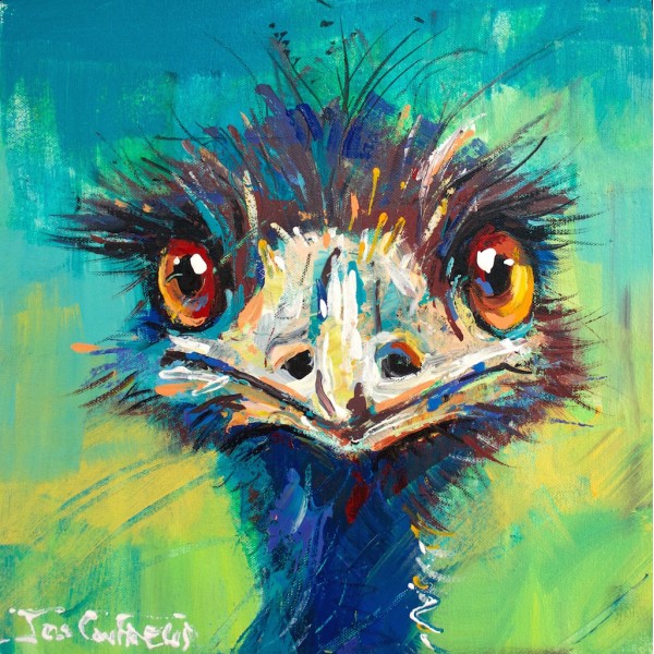 Emu 37